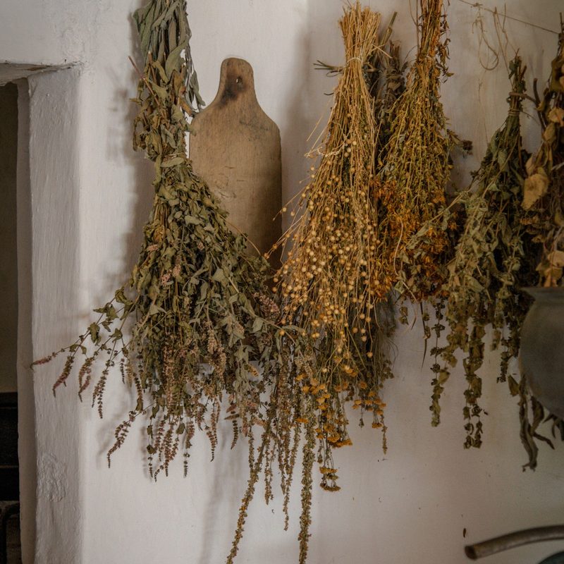 Garden herbs, dried here